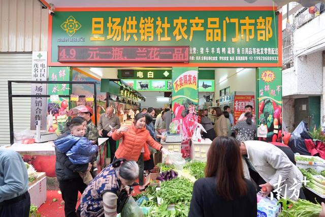 平價(jià)新鮮，從田間到餐桌——茂名電白供銷系統(tǒng)打造不隔夜生鮮超市